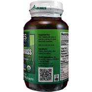 Wheat Grass - A Deep Green Leafy Vegetable