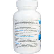 Alpha Lipoic Acid 100 mg
