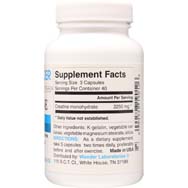Creatine | Performance Enhancer