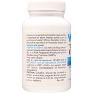 Creatine | Performance Enhancer