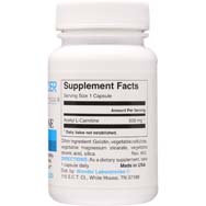 Acetyl L-Carnitine 500 mg | Healthy Heart & Brain Function