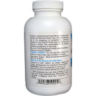 Green Tea Extract w/ EGCG | 90% Polyphenols