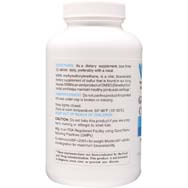 Glucosamine Chondroitin and MSM