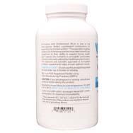Echinacea with Goldenseal Root, Olive Leaf and Ginger