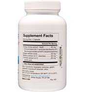 GinkgoMax™ Formula - Ginkgo Biloba Maximum Strength