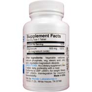 Magnesium Super Potency 500 mg