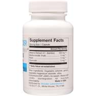 Bilberry Extract Plus | Bioflavonoids Quercetin • Rutin