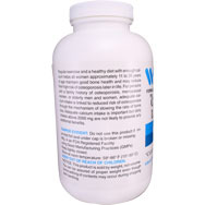 Calcium Lactate Powder