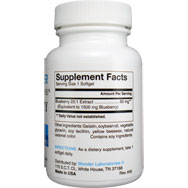 Blueberry Extract | Equivalent to 1500 mg Blueberry
