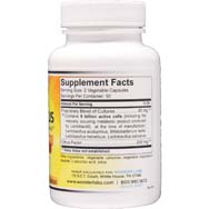 Mega Acidophilus Probiotic | 6 Billion Microorganisms†