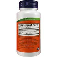 Andrographis Extract 400 mg | Supports Immune Function