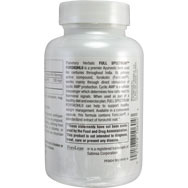 Forskholii Full Spectrum Ayurvedic Herb