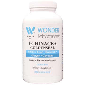 Echinacea with Goldenseal Root, Olive Leaf and Ginger
