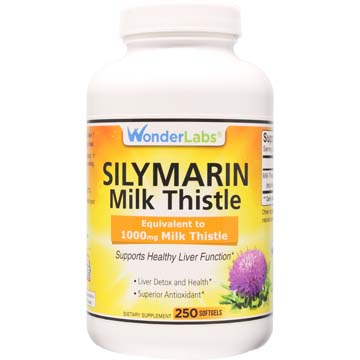 Silymarin Milk Thistle | Equivalent to 1000 mg Milk Thistle