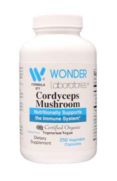 Cordyceps Mushroom