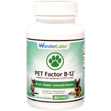 PET Factor B-12 w/ Intrinsic Factor