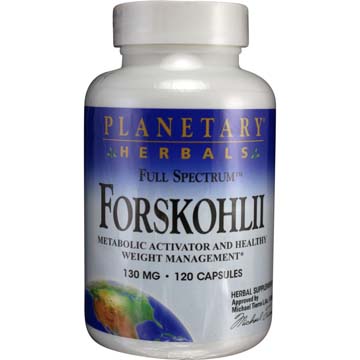 Forskholii Full Spectrum Ayurvedic Herb