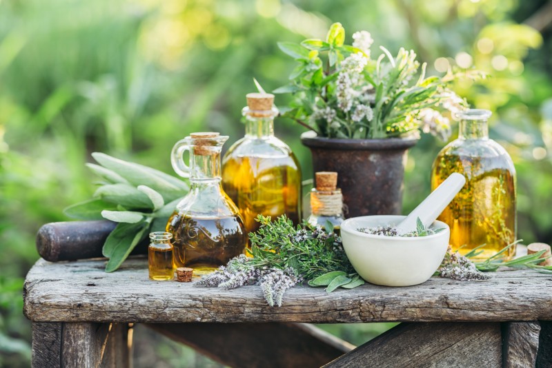 Five Under-Valued but Valuable Herbal Supplements Five Under-Valued but Valuable Herbal Supplements