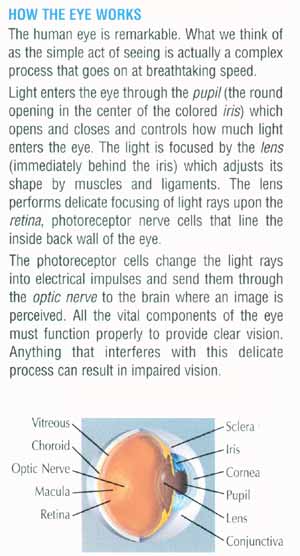 OptiAll - How the Eye Works