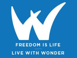 Wonder Labs